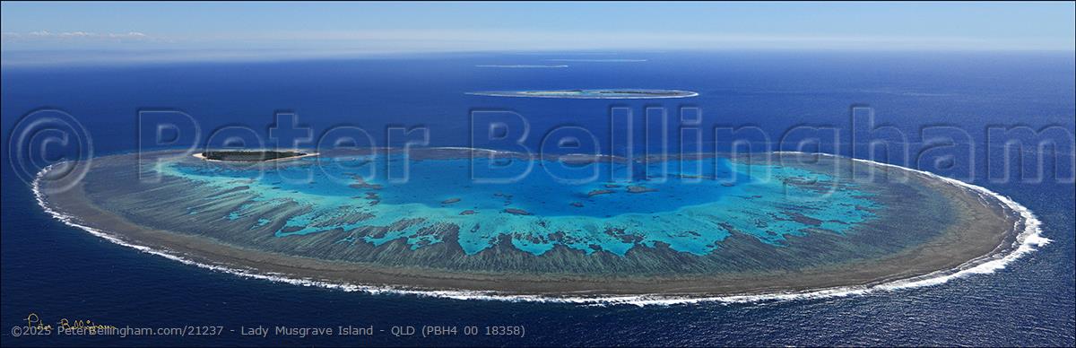 Peter Bellingham Photography Lady Musgrave Island - QLD (PBH4 00 18358)